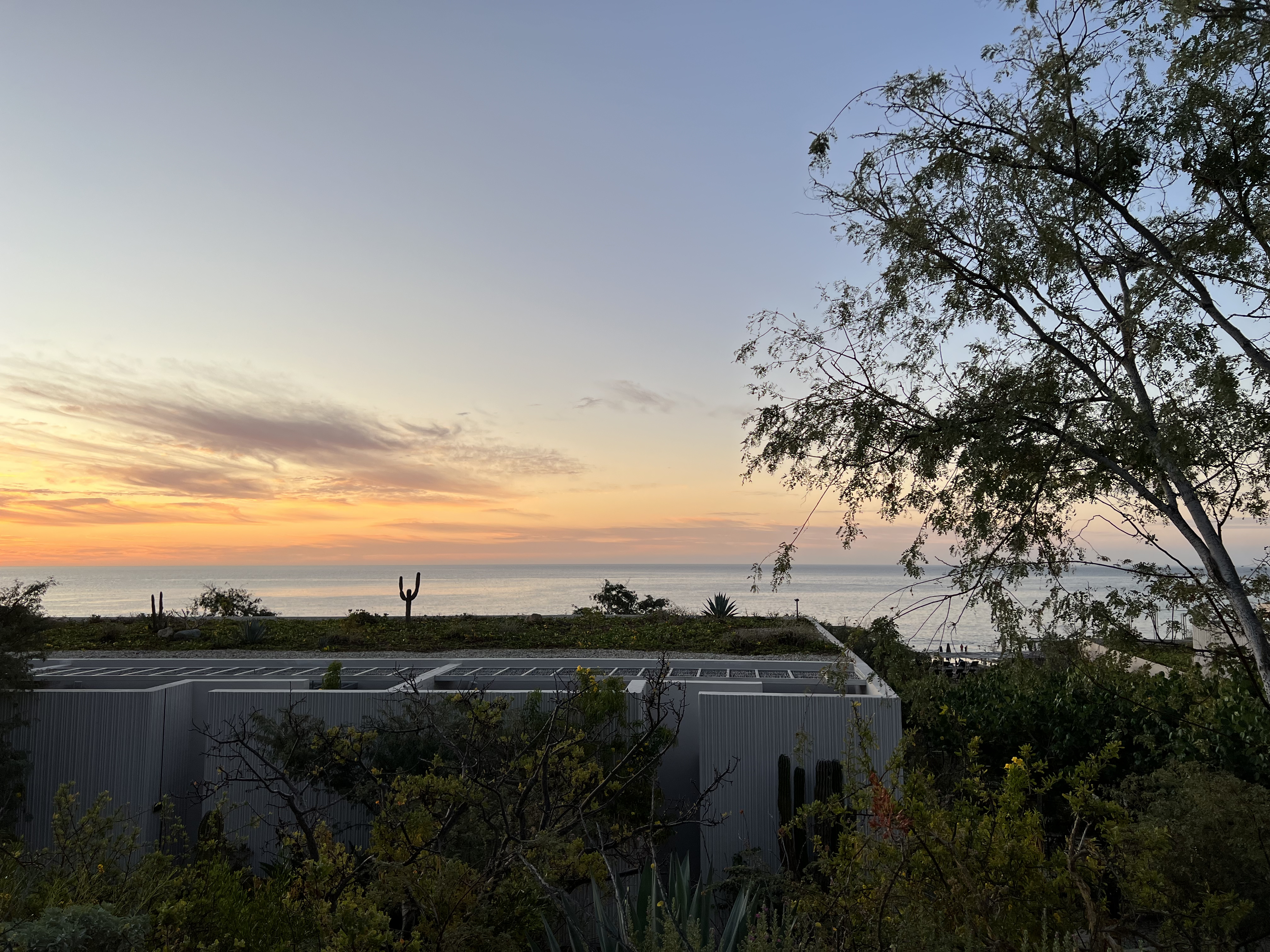 ./2024/13 - Cabo/IMG_4186.jpg